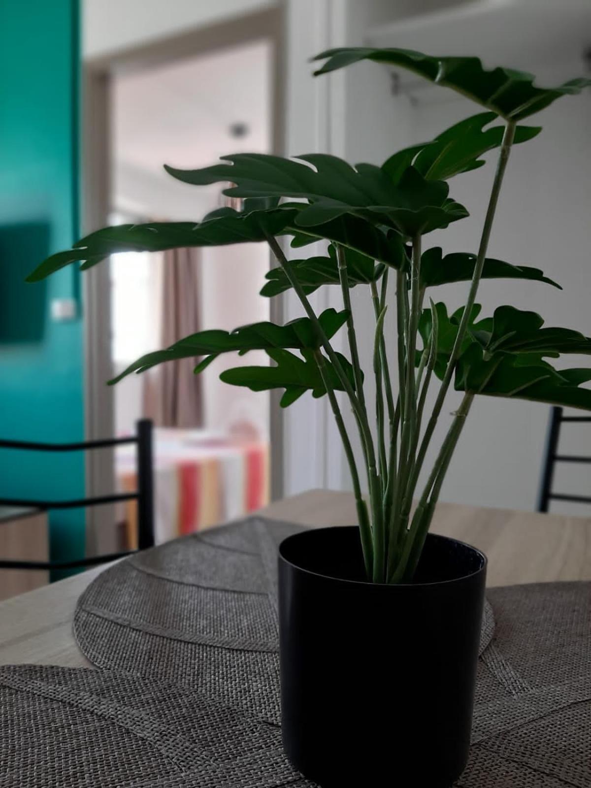 Republique Lounge Apartment ฟอร์-เดอ-ฟร็องส์ ภายนอก รูปภาพ